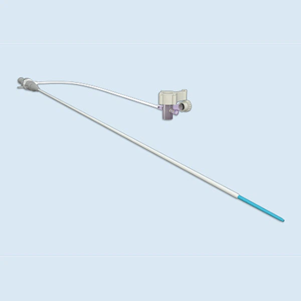Introducer Sheath And Dilator (2)
