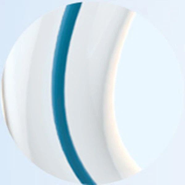 Ptca Balloon Catheter Angioplasty